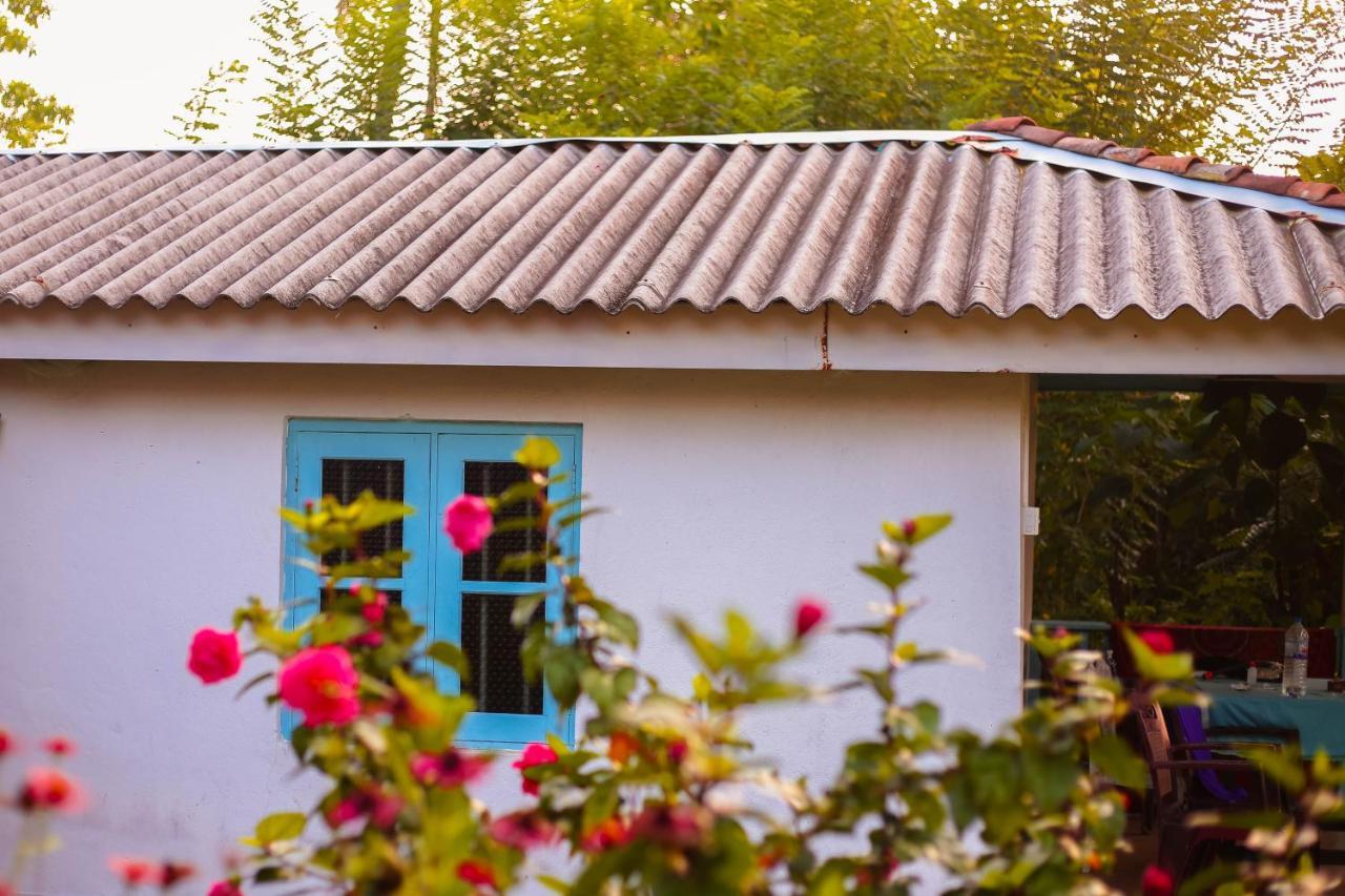 Tehan Homestay Dikwella Ngoại thất bức ảnh