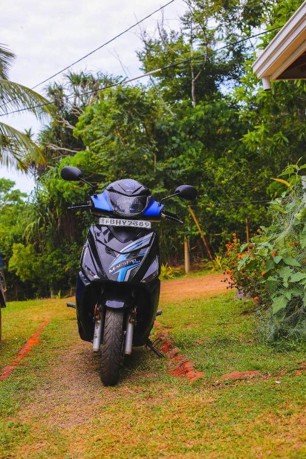 Tehan Homestay Dikwella Ngoại thất bức ảnh