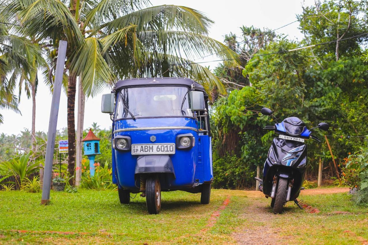 Tehan Homestay Dikwella Ngoại thất bức ảnh