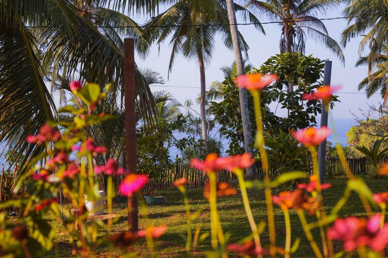 Tehan Homestay Dikwella Ngoại thất bức ảnh