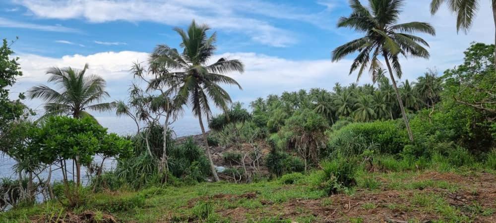 Tehan Homestay Dikwella Phòng bức ảnh